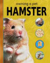 Owning A Pet: Hamster