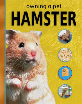 Owning A Pet: Hamster
