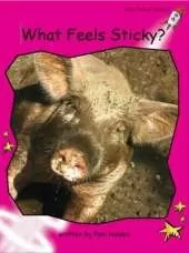 What Feels Sticky?