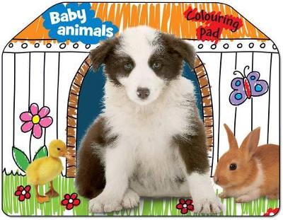 Baby Animals Colouring Pad
