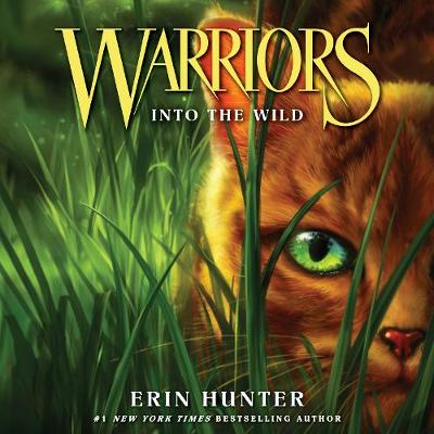 Warriors #1: into the Wild