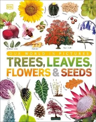 Trees, Leaves, Flowers & Seeds: A Visual Plant Encyclopedia for Kids