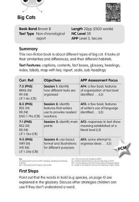 BC NF Brown B/3B Big Cats Guided Reading Card