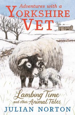 Adventures with a Yorkshire Vet: Lambing Time and Other Animal Tales: Snowy animal stories, the perfect Christmas present for 8–11 readers