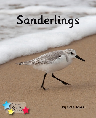 Sanderlings: Phonics Phase 4