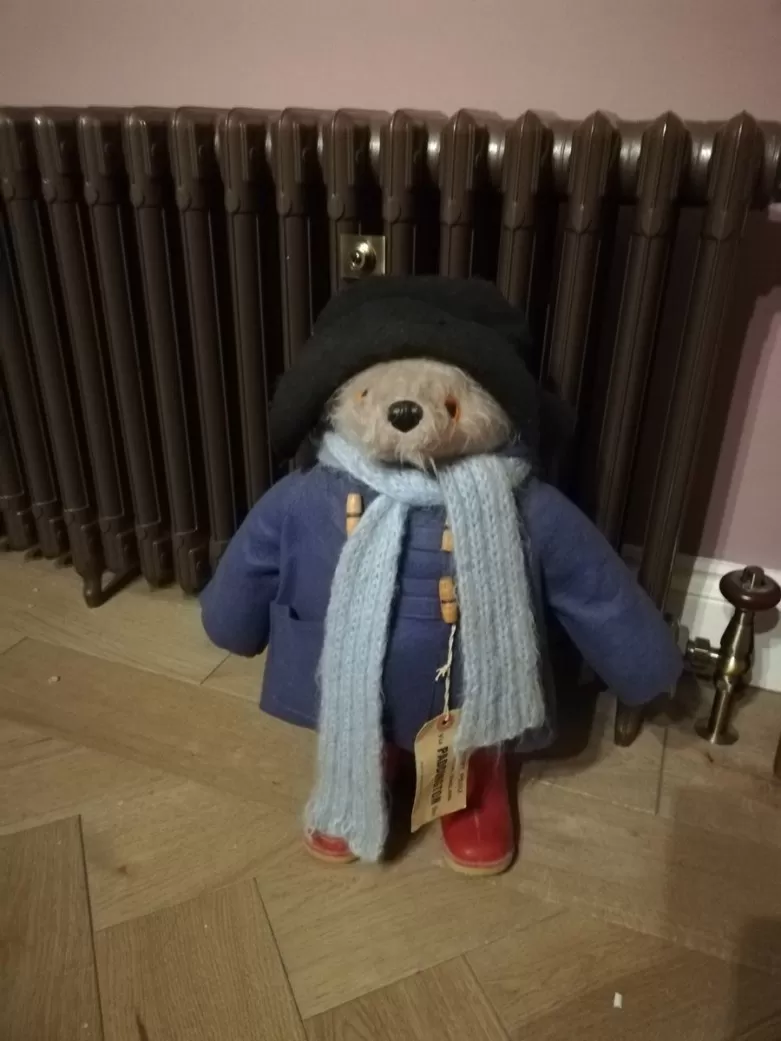 Paddington Teddy